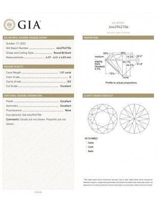 GIA 1.01cts G/SI2
