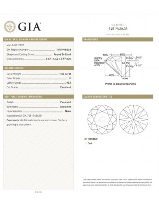 GIA NATURAL 1.02cts F/VS2