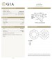 GIA 1.01cts G/SI2