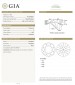GIA 1.03cts E/VS2