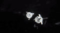 Eterno Earring